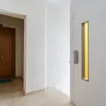 El Rincon De Ana * Cádiz