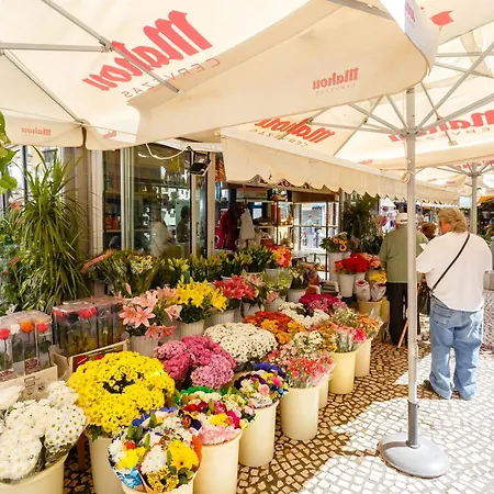 Caleta Paradise Appartamento *