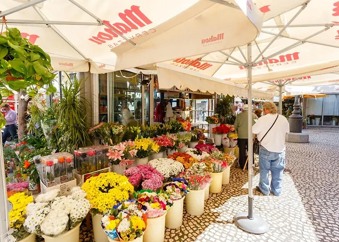 Caleta Paradise Appartamento *